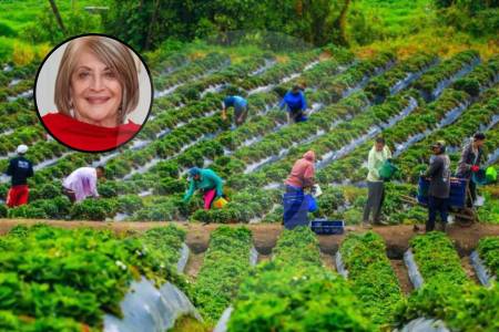 ¿reforma-agraria-a-medias?-balance-en-matices-de-una-de-las-banderas-de-petro