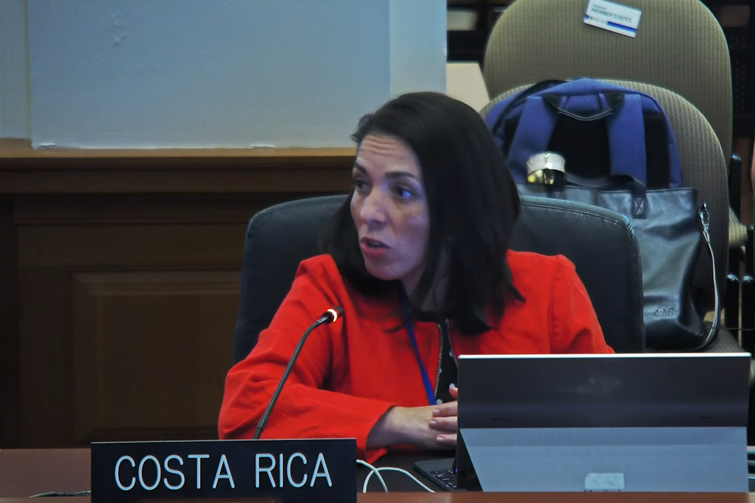 Costa Rica reconoce ante la OEA que dictadura en Nicaragua es «una amenaza regional»