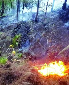 incendios-amenazan-al-cerro-quitasol,-¿entro-en-un-punto-de-“no-retorno”?