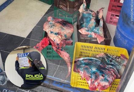 ¡Alerta en Bello! Decomisan más de una tonelada de carne de cerdo en mal estado