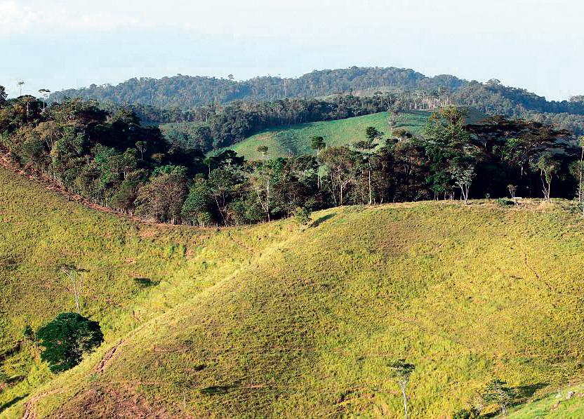 El ‘Súper Niño’ se acerca y el 35% de Antioquia está en alto riesgo ante incendios forestales