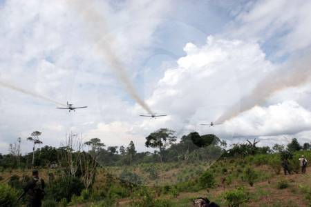 Otro freno: juzgado mantiene suspendida la fumigación aérea de cultivos de coca