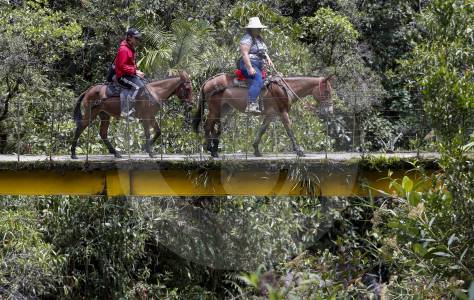 programa-de-naciones-unidas-fortalece-21-organizaciones-campesinas-de-antioquia,-¿en-donde?