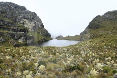 gobierno-revoca-zona-de-reserva-alrededor-del-paramo-de-santurban,-¿que-cambia?