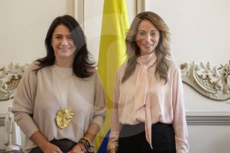 Los cuestionamientos a Julia Daza, directora de la Biblioteca Nacional