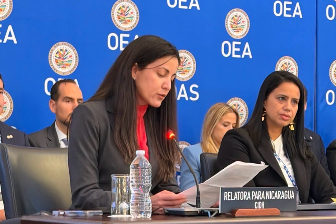 relatora-de-la-cidh:-«nicaragua-requiere-respuesta-de-la-oea»
