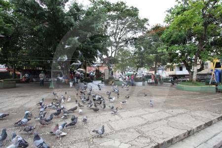 joven-murio-en-ataque-armado-en-segovia,-antioquia